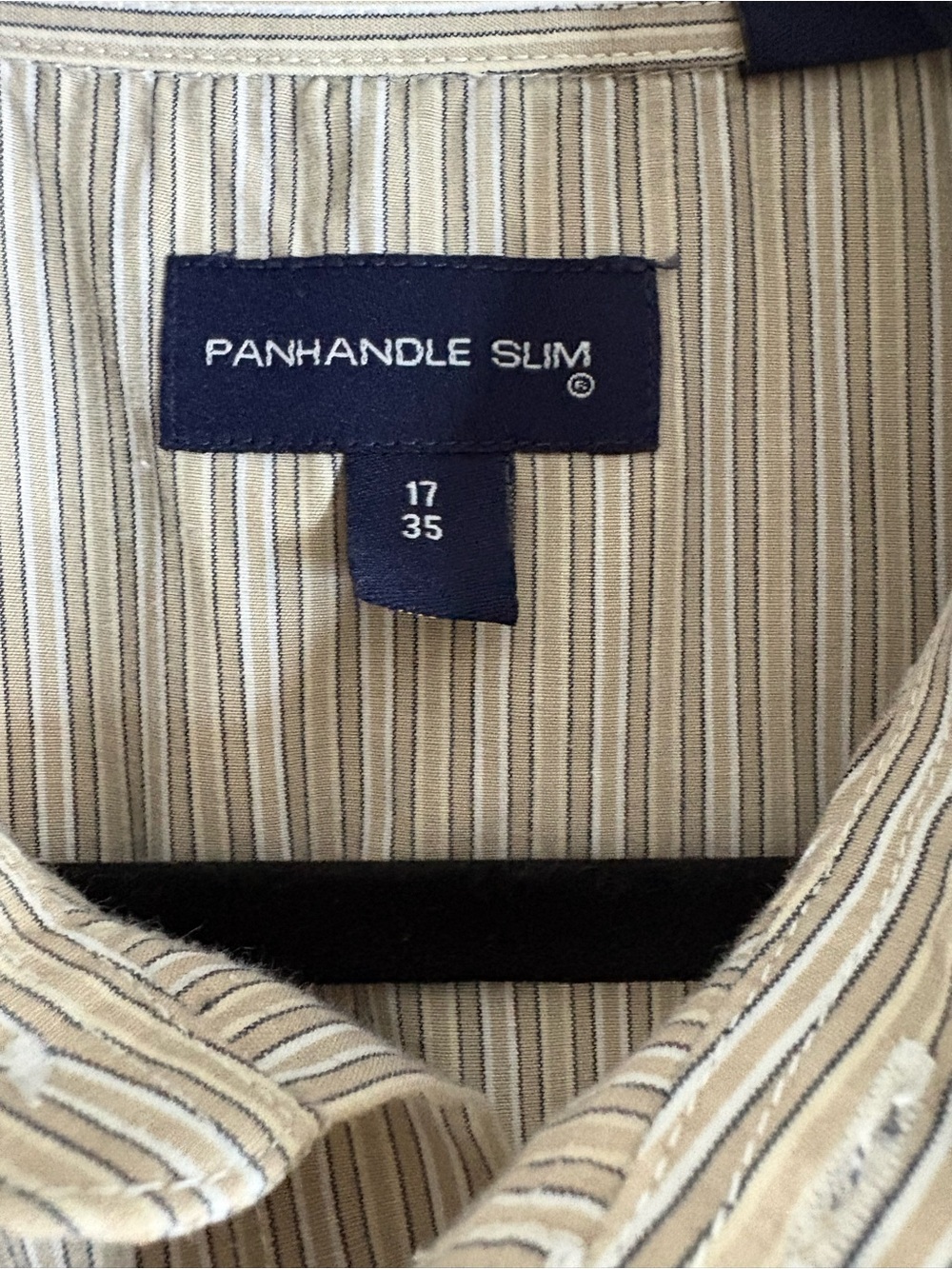 Panhandle Slim Beige Striped Western Button-Up Shirt - Picture 10 of 16
